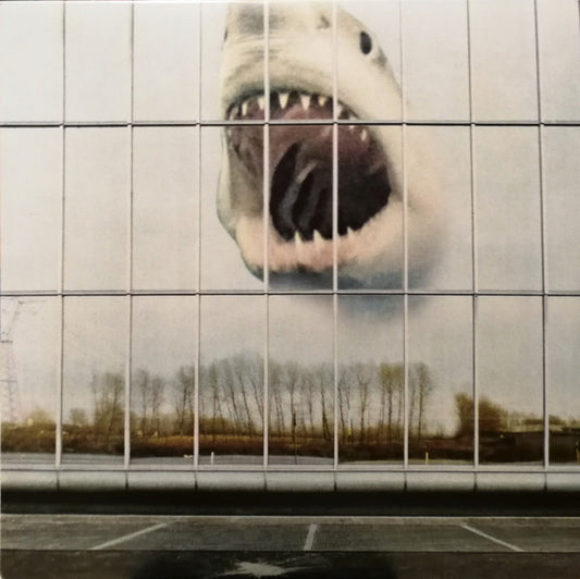 Wilderness Heart - BLACK MOUNTAIN