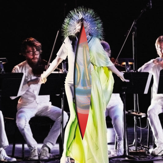 Vulnicura Strings - BJORK