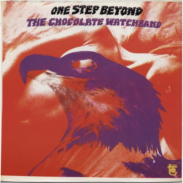 One Step Beyond - CHOCOLATE WATCH BAND