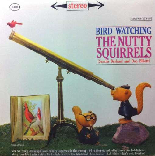 Bird Watching - NUTTY SQUIRRELS