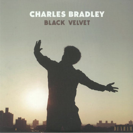 Black Velvet - CHARLES BRADLEY