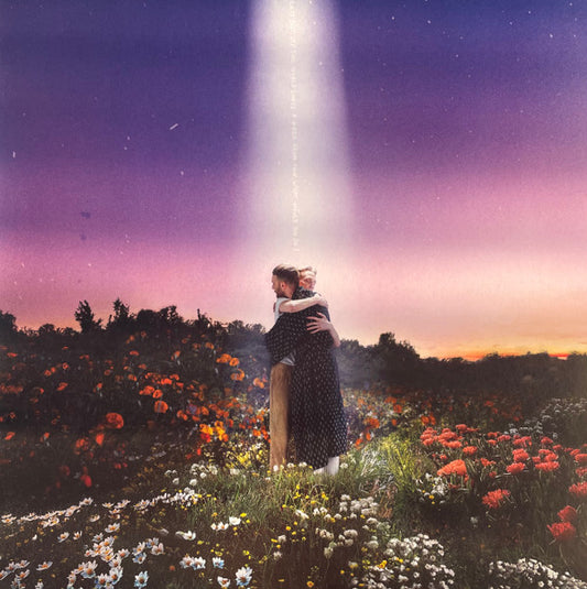 Let's Just Say The World Ended A Week From Now... - HONNE