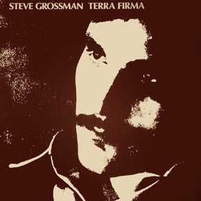 Terra Firma - STEVE GROSSMAN