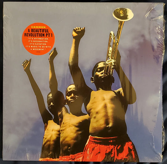 A Beautiful Revolution - COMMON