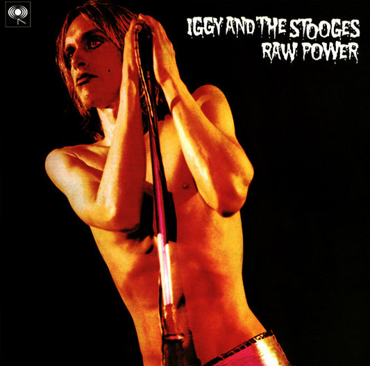 Raw Power (2 LP & Booklet) - IGGY AND THE STOOGES