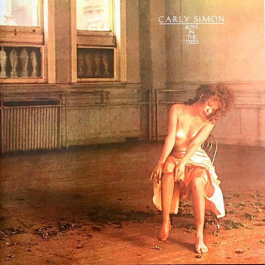 Boys In The Trees - CARLY SIMON